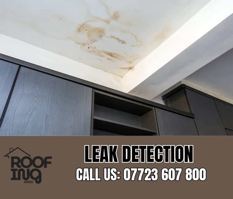 Roof Leak Detection in Bovey Tracey